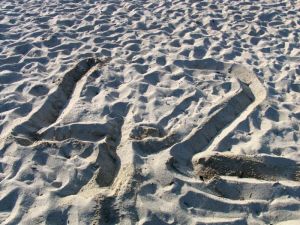 The answer (of course) (you knew this already) to...